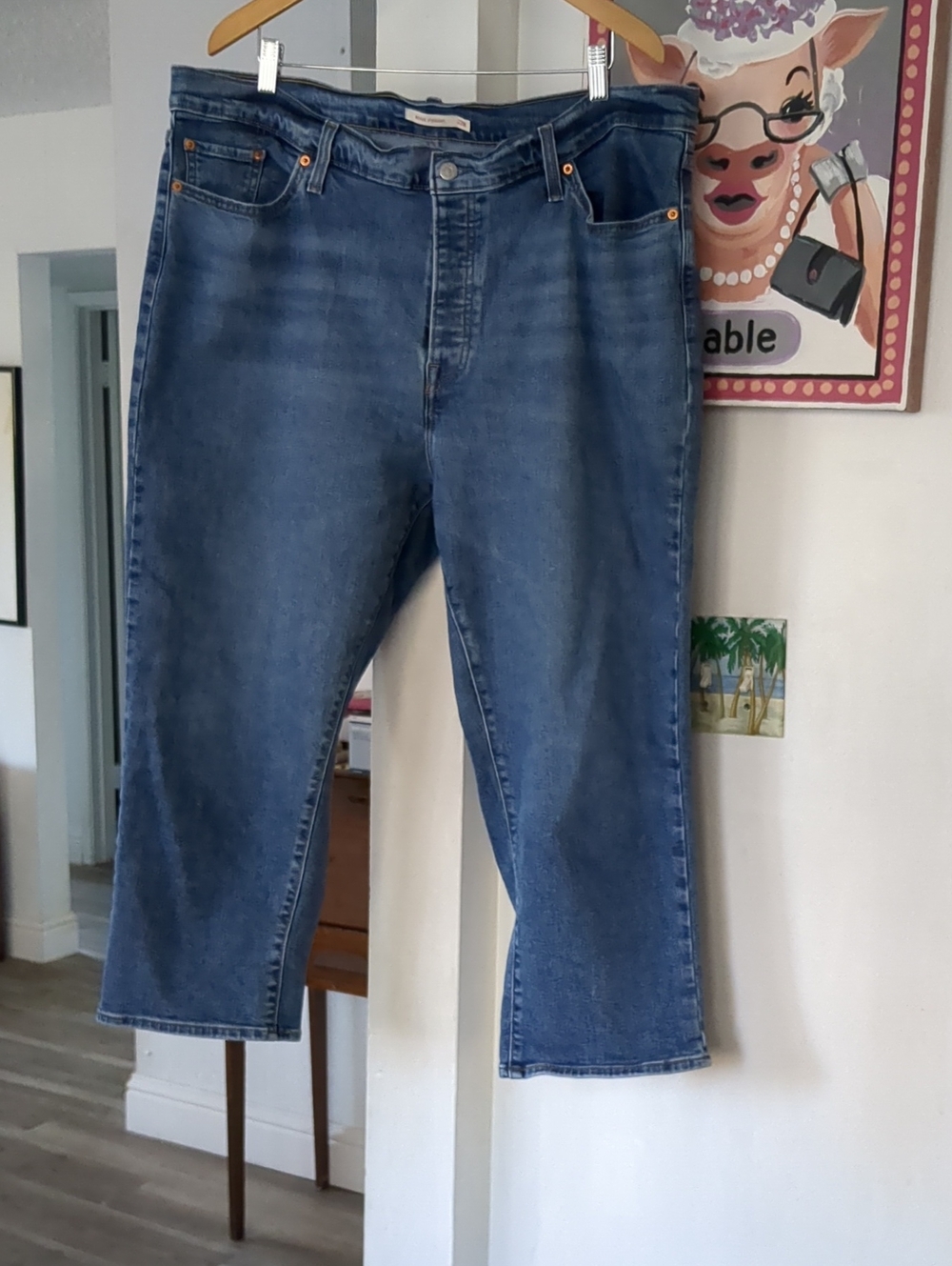 Levi's Women’s Wedgie Straight Buttonfly Jeans 22W